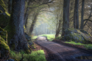 Fotoamateureteublitz05
