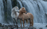 Fotoamateureteublitz07