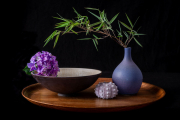 Fotoamateureteublitz08