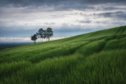 Fotoamateureteublitz09
