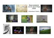 collage2023-2000