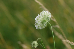 210A2604_bearbeitet-1