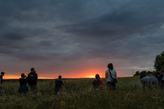 ND7_1674-201