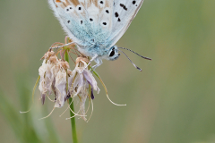 P7240762