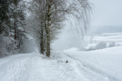 Wintermorgen