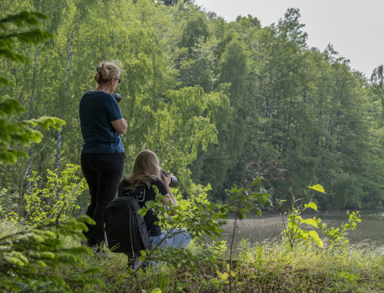 Bilder-Fotowalk