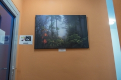 P1000907