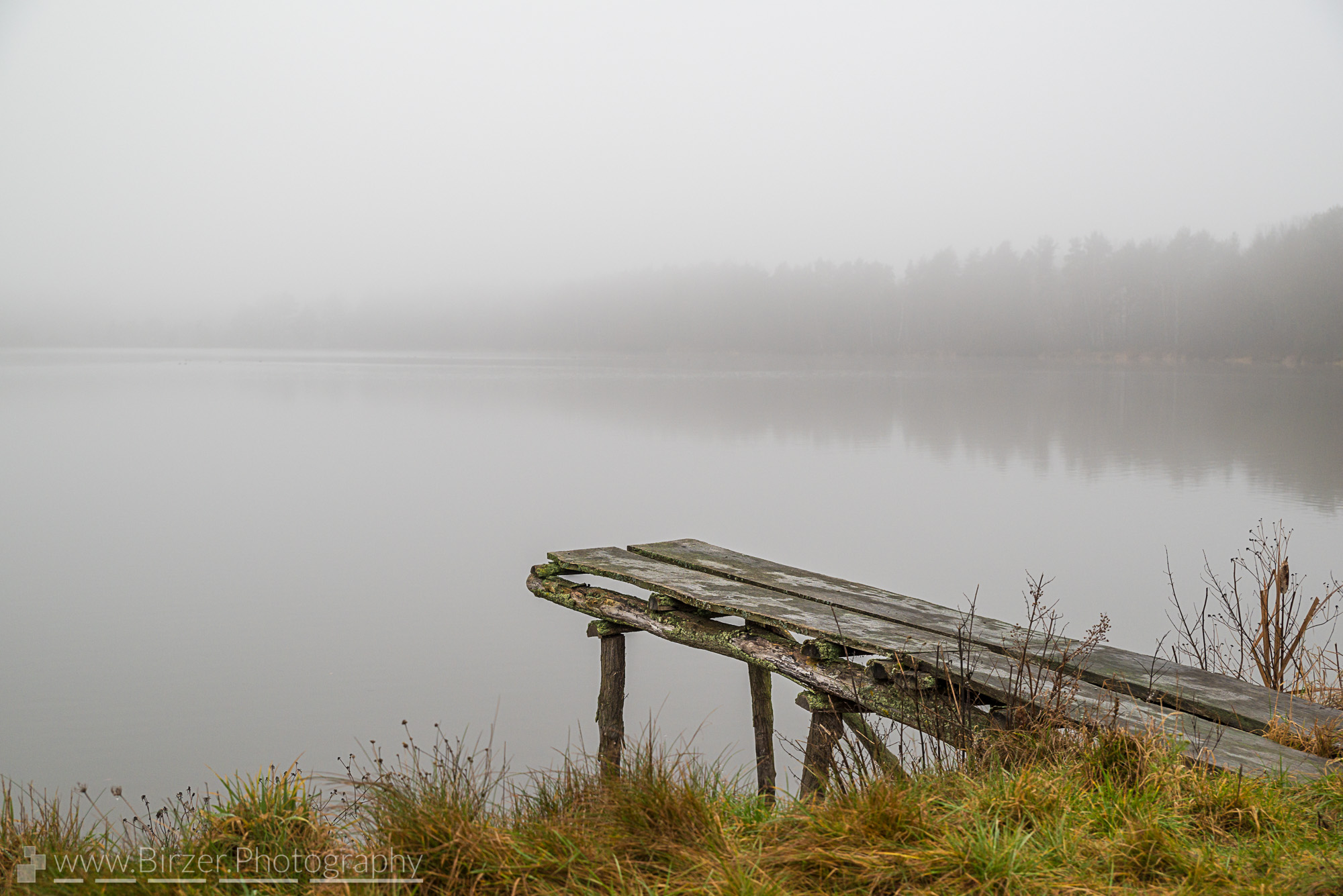 A pond on a foggy day