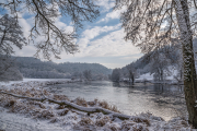 winter wonderland