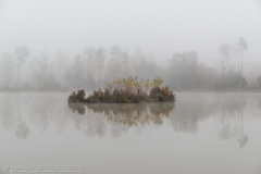 grey with a bit color