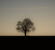 DSC_4911a