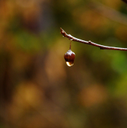 DSC_5087