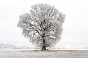 Landschaft_Pottenstetten_01