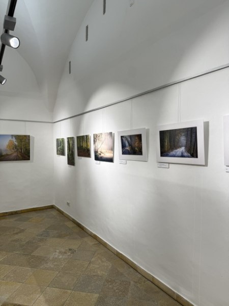 image8