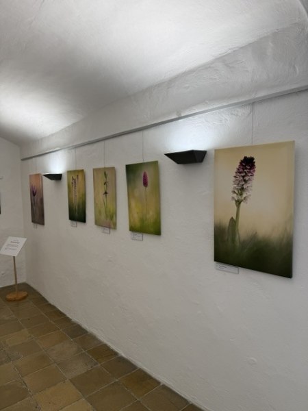 image9